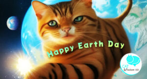 earth day cat art card