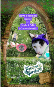 magical Easter Cats with Odin