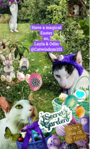 magical Easter cats