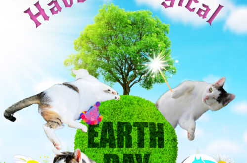 magical earth day with Odin the cat