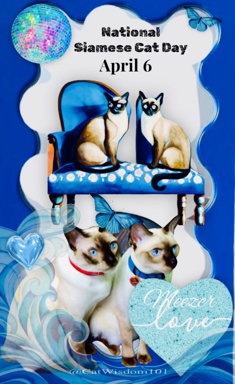 National Siamese Cat Day Fun Facts | Cat Wisdom 101