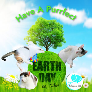 Purrfect Earth Day