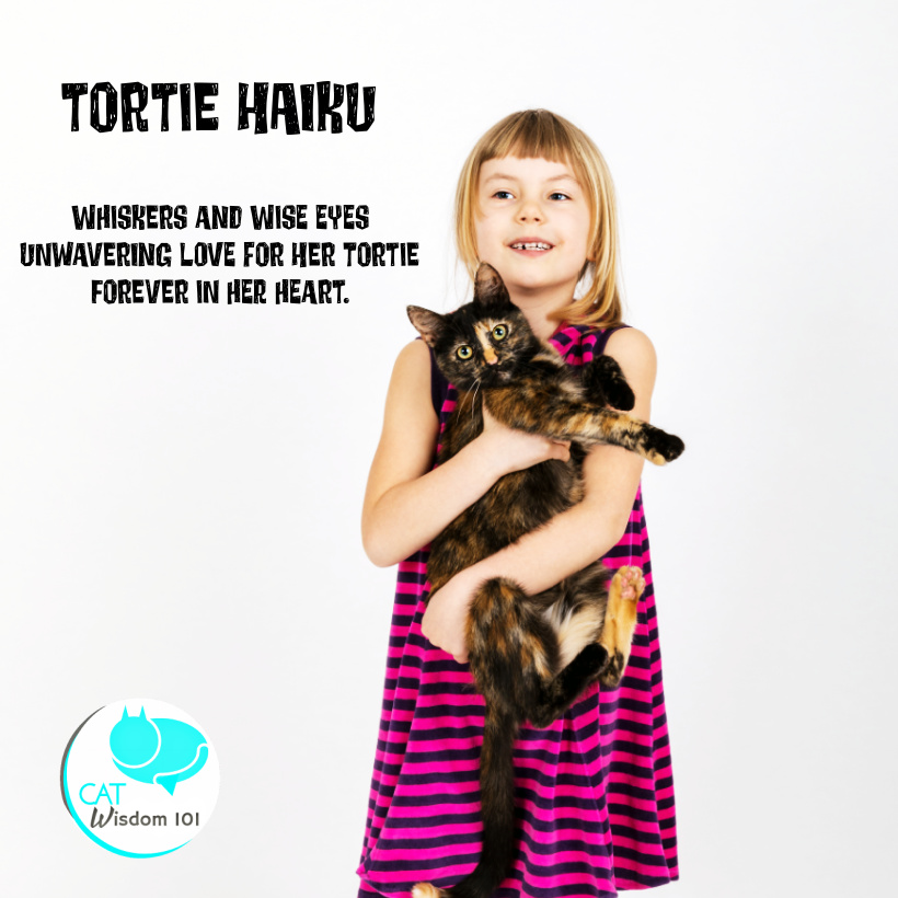Tortoiseshell Cat Appreciation Day -National Haiku Day