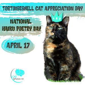 Tortoiseshell Cat Appreciation Day-National Haiku day