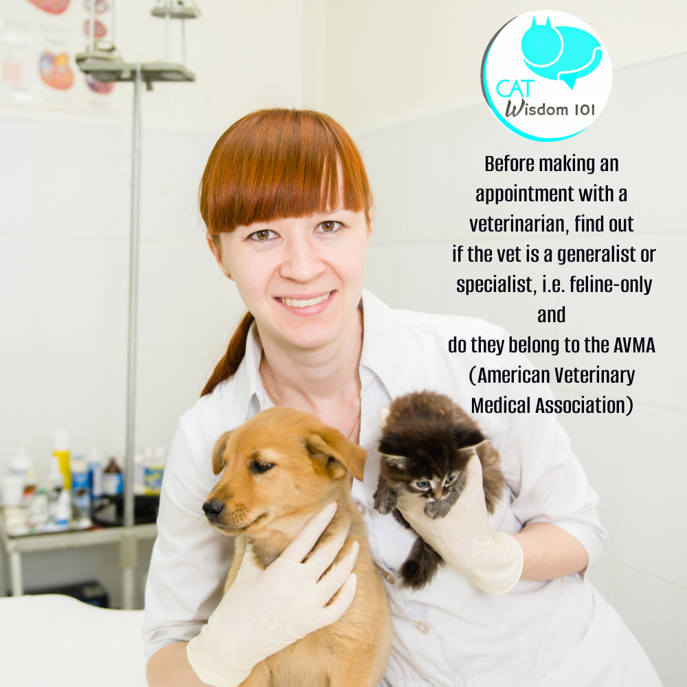 world veterinary day tips