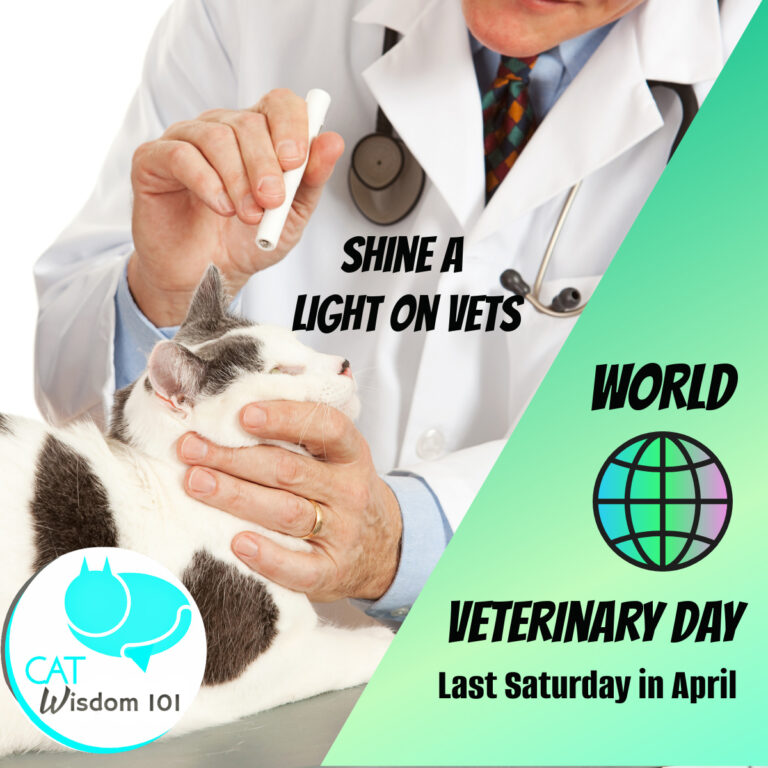 World Veterinary Day What You Need To Know About Vets 🐱