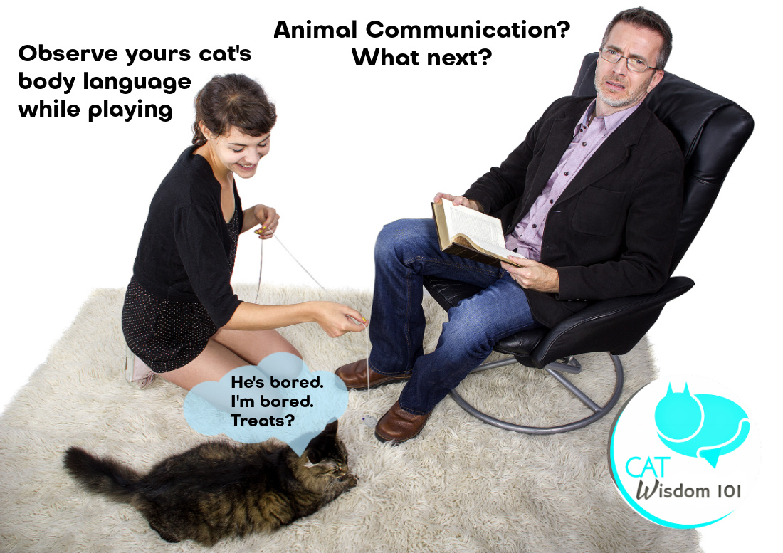 intuitive cat communication
