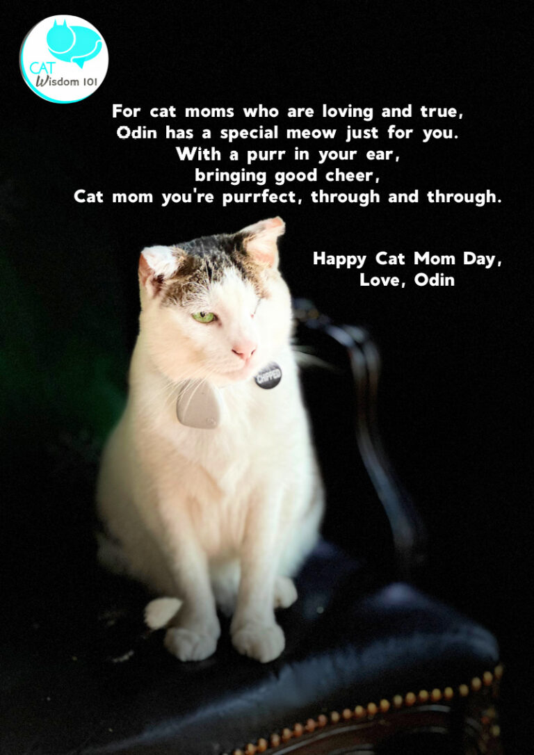 Mother’s Day Sad Truth & Fun Facts For Cat Moms