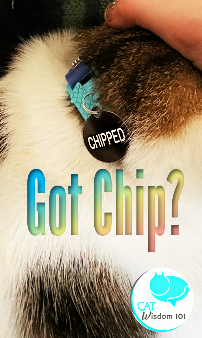 chip your pet month