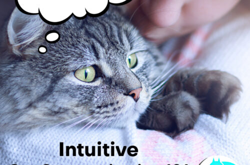 intuitive cat communication