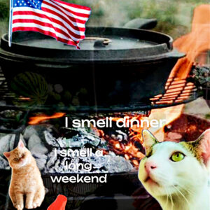 memorial day cat's meow