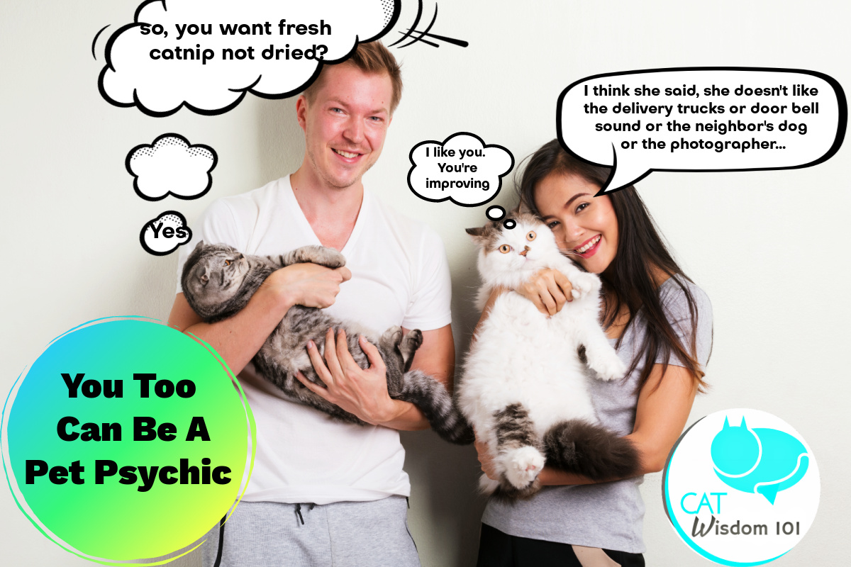 pet psychic-intuitive cat communication