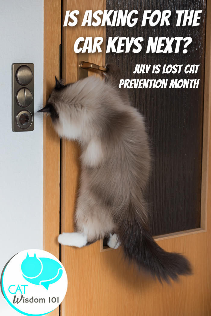lost pet prevention month