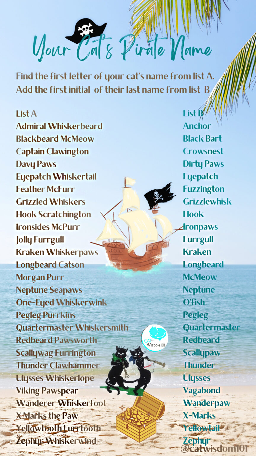 What’s Your Cat’s Pirate Name? | Cat Wisdom 101