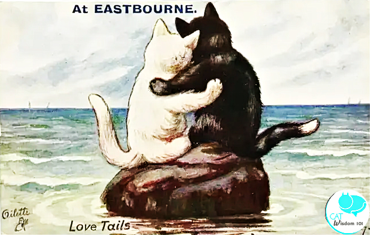 cat travel postcards