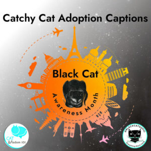 cathy cat adoption captions