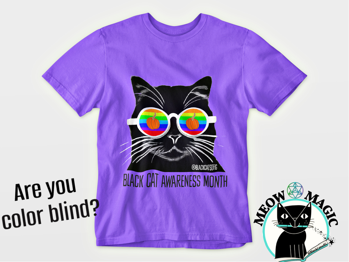 lgbtq-rainbow-black cat-tshirt