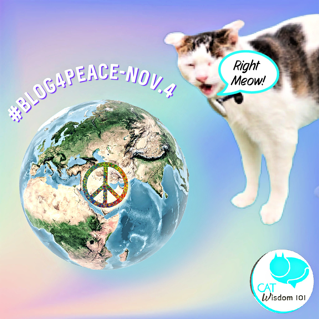 #blog4peace purr4peace