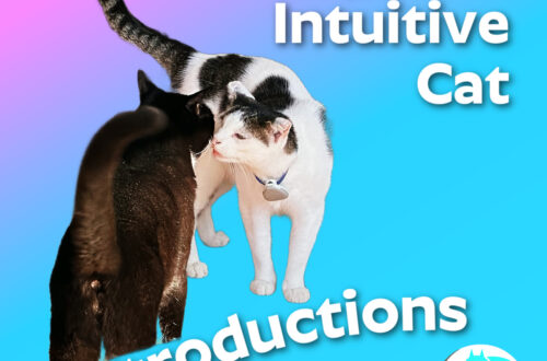 intuitive cat introductions