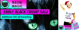 black Friday cyber monday sale