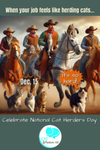 cat herders day