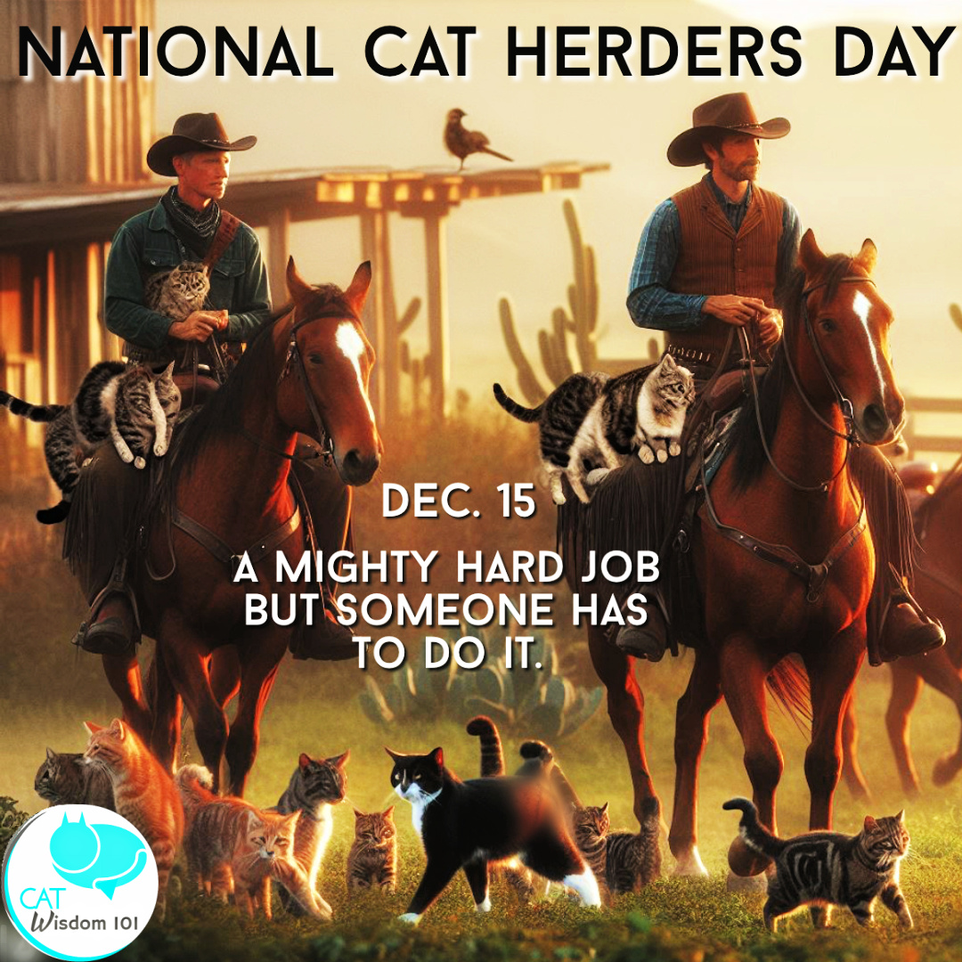 CAT HERDERS DAY - December 15 - National Day Calendar