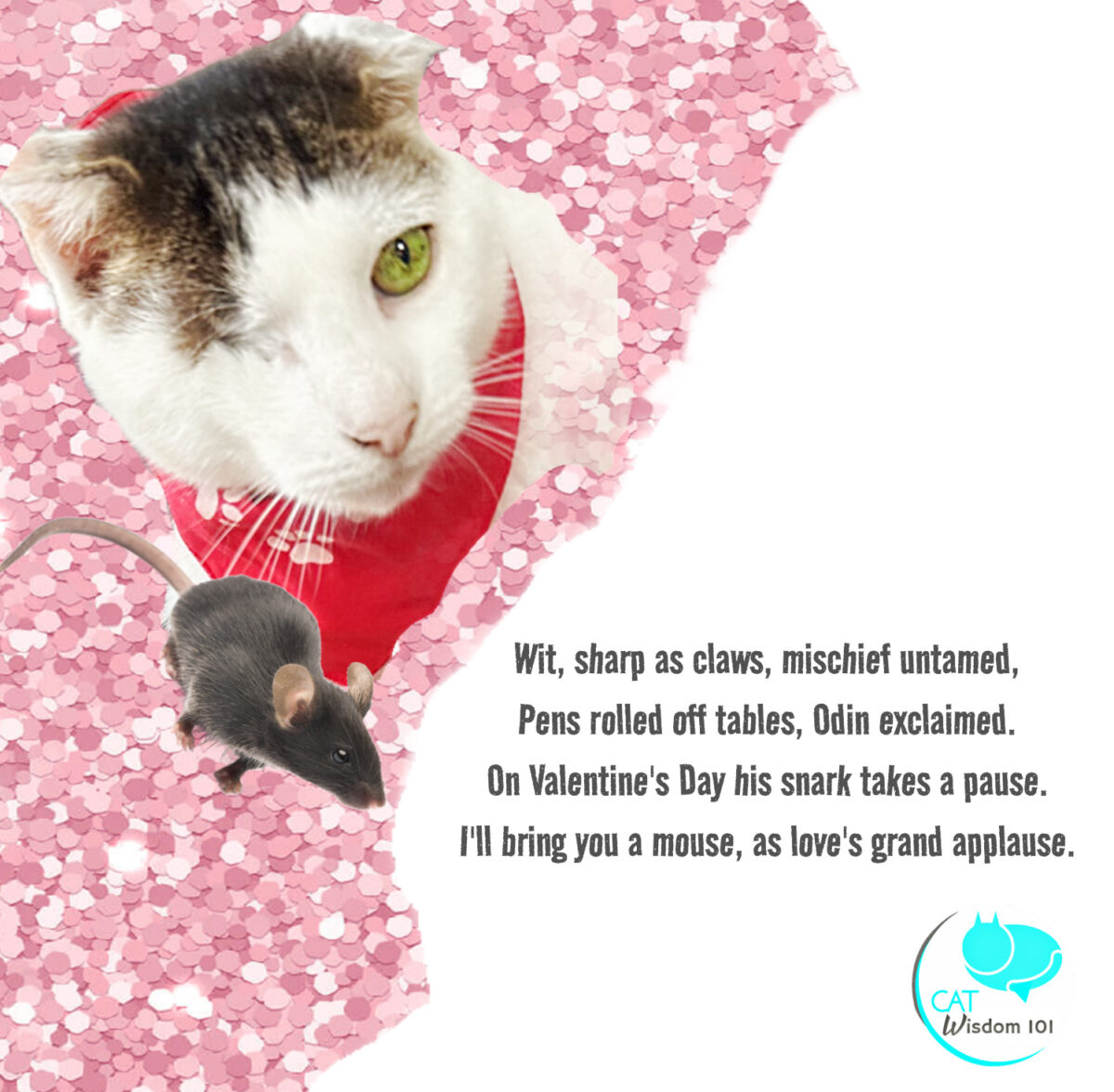 valentine Love poems by cats