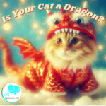Is your cat a dragon?