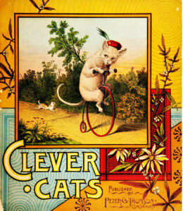 clever cats vintage cat book
