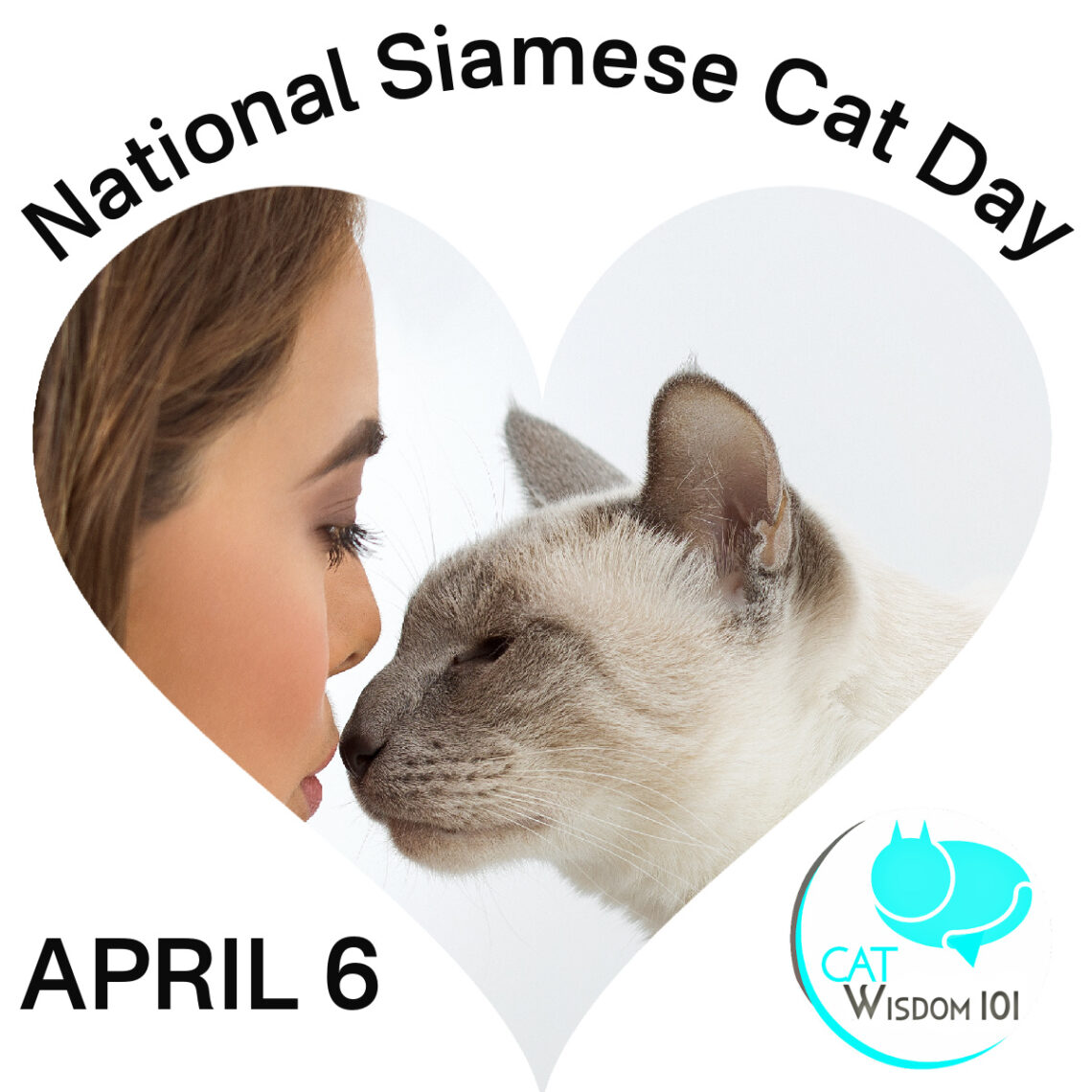 National Siamese cat day | Cat Wisdom 101