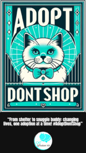 adopt don't shop quote