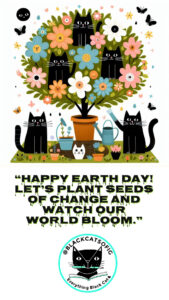 black cats earth day