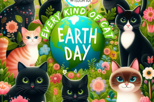 every kind of cat earth day