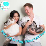 hug your cat day