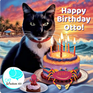 Otto-cat-birthday | Cat Wisdom 101