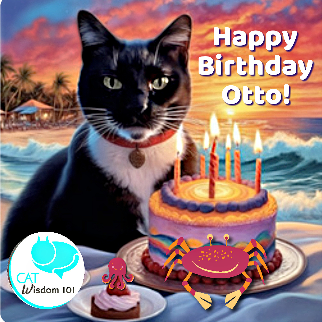 Otto cat birthday