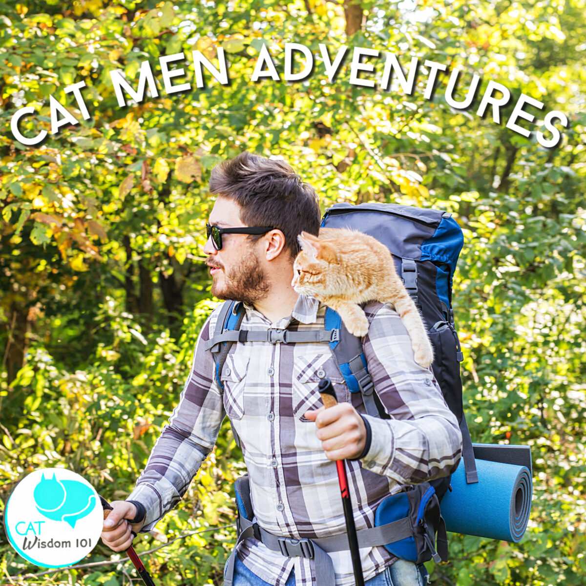 adventure cat cat men