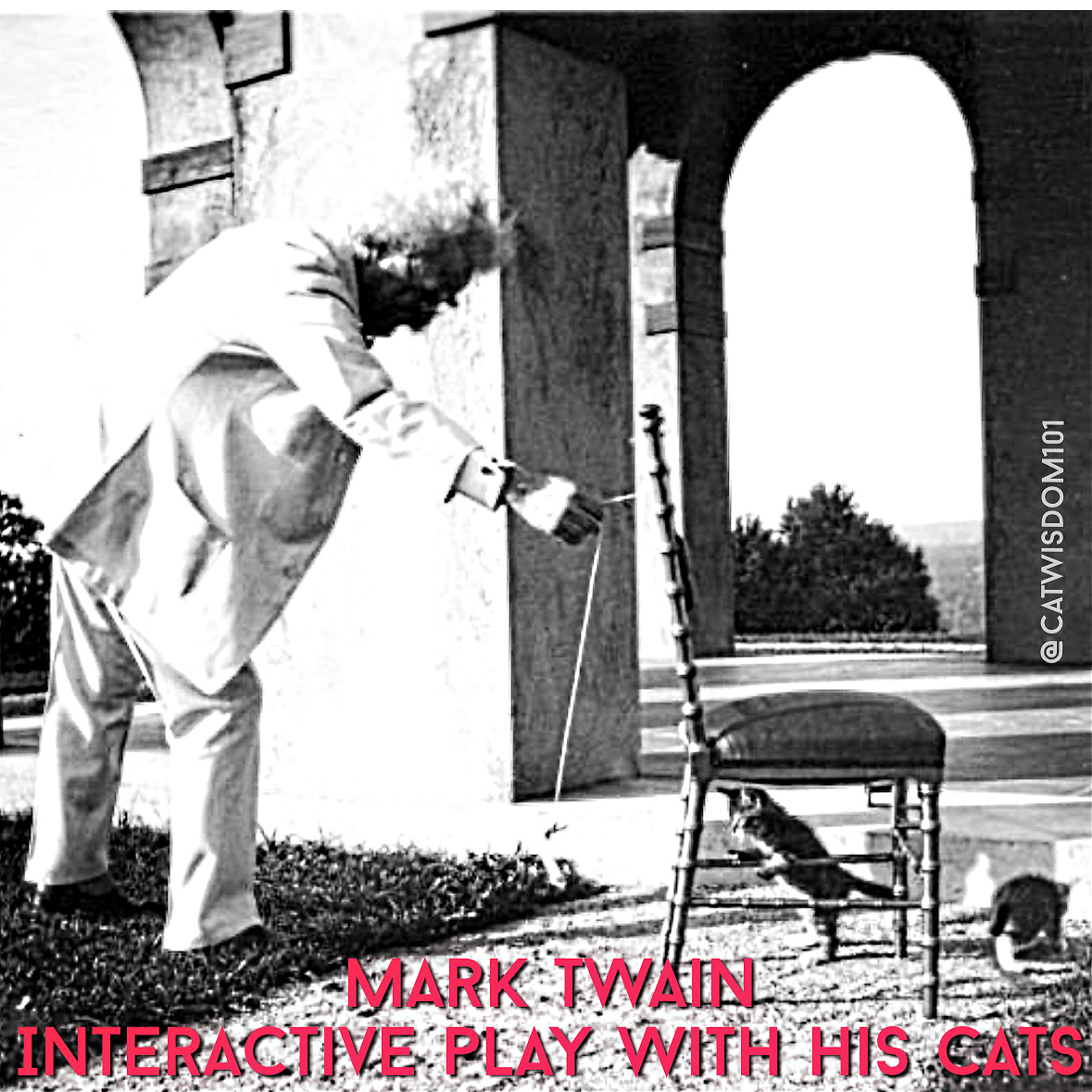 mark Twain interactive play with cats