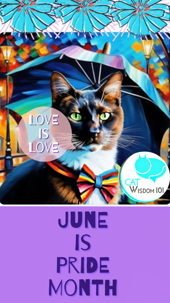 Pride Month cats