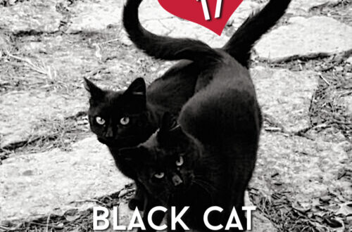 black cat appreciation day