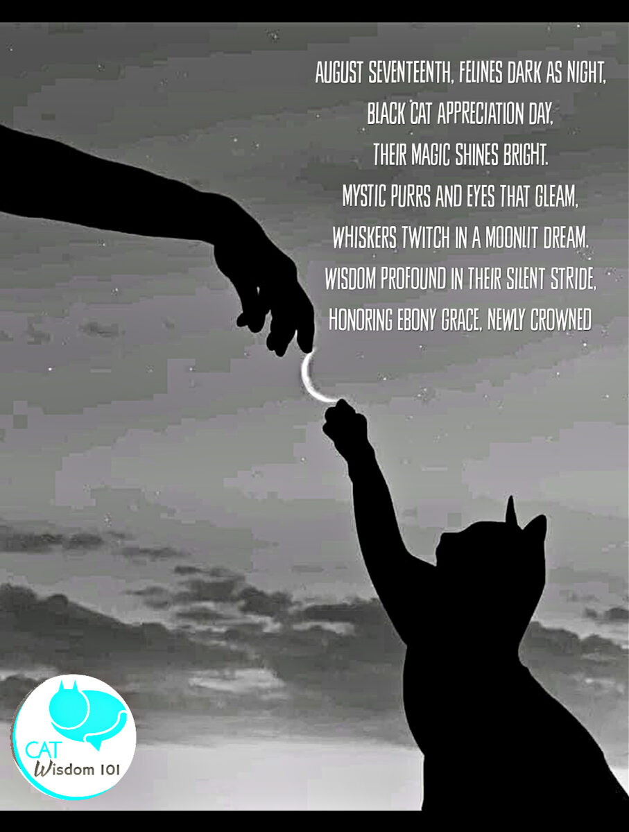 black cat appreciation day poem