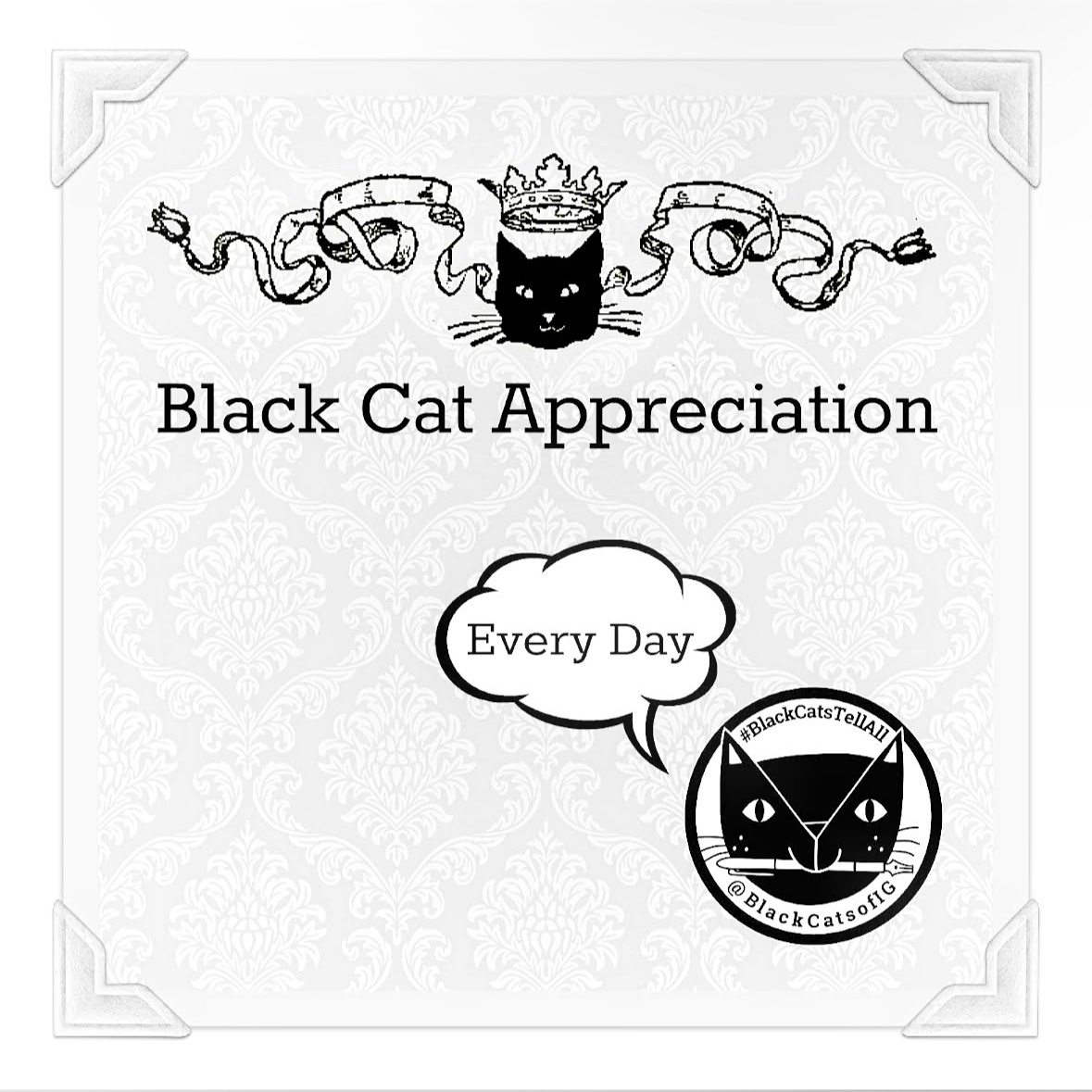 black cat quotes