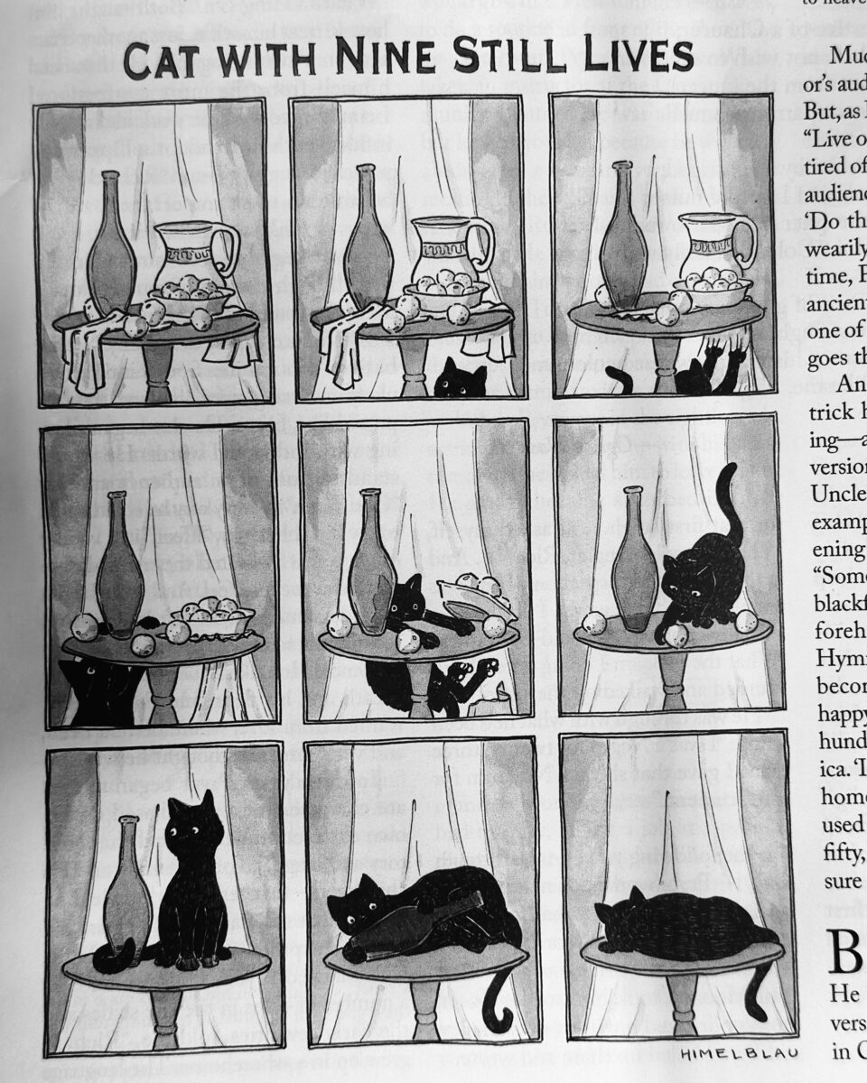 New Yorker cat cartoon