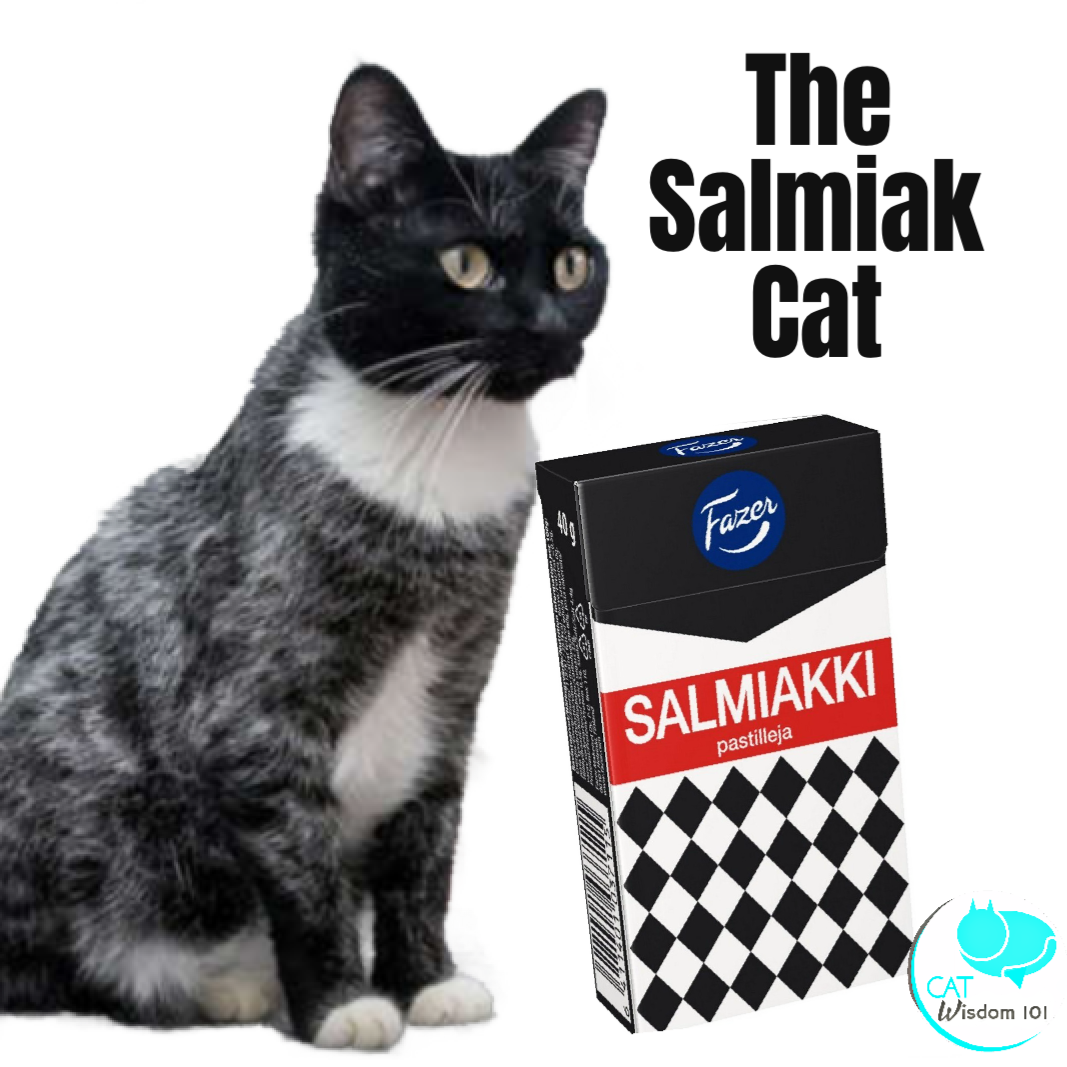 Salmiak cat Salmiac Salmiakki