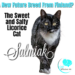 Salmiak cat