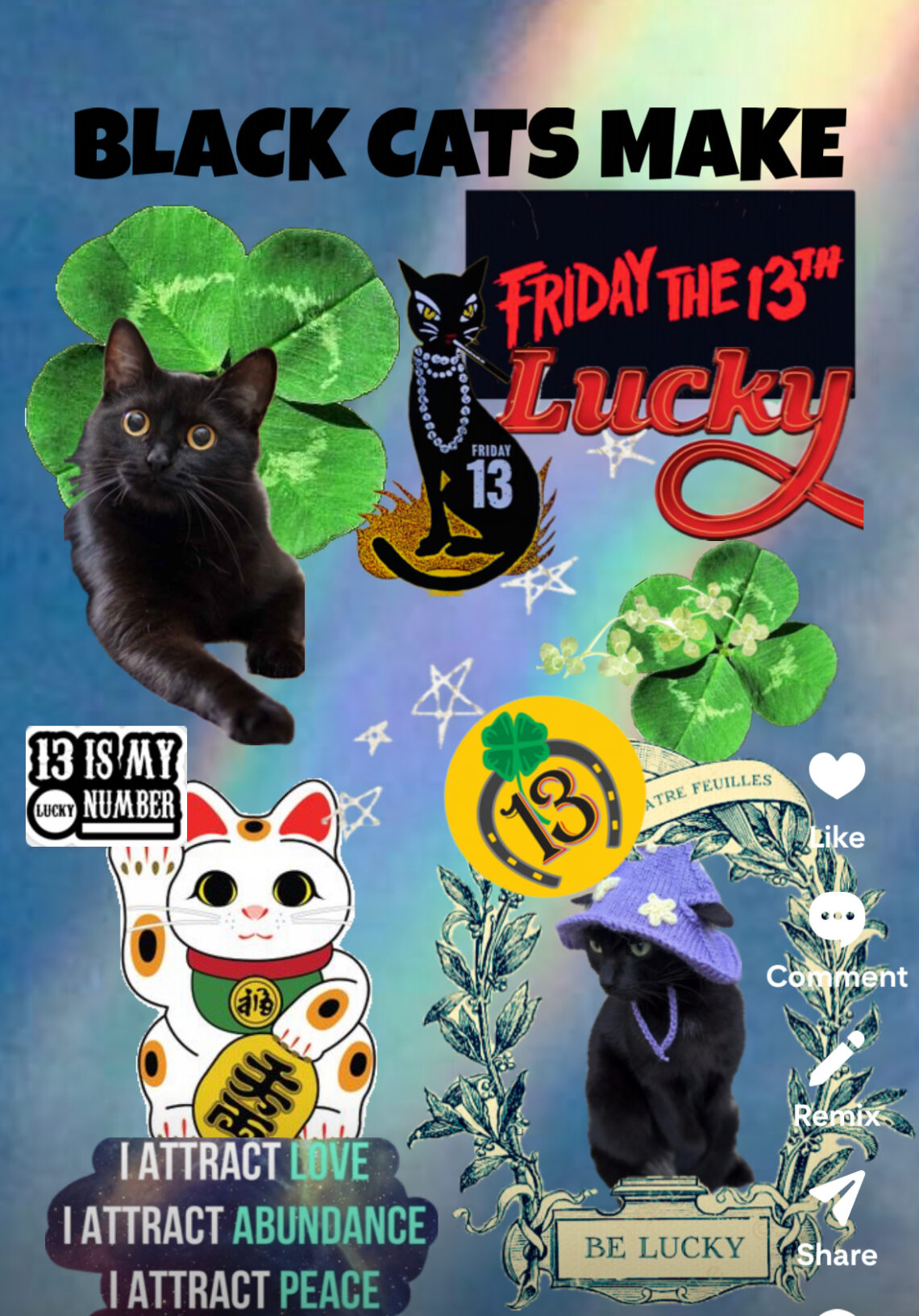 friday 13th cats