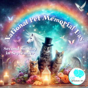 pet memorial day