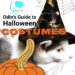 Halloween cat costumes