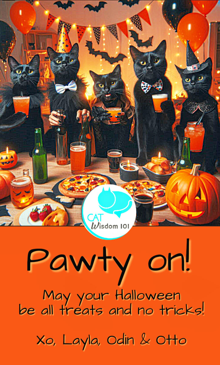 Halloween party cats art