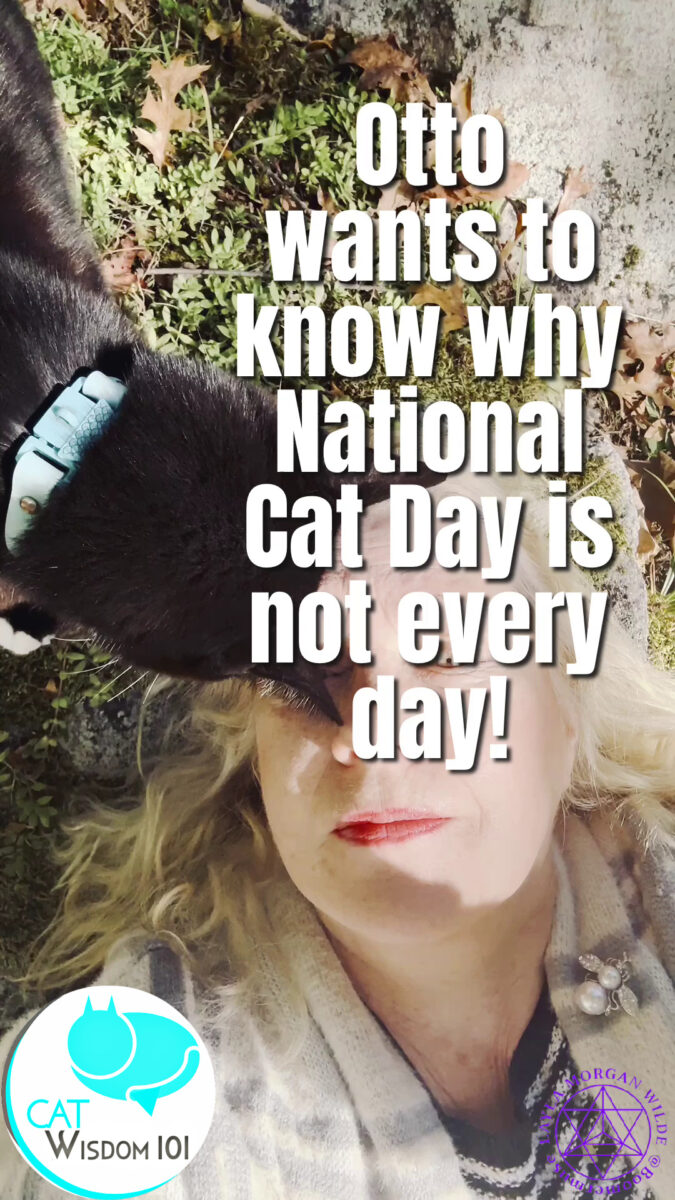 national cat quotes